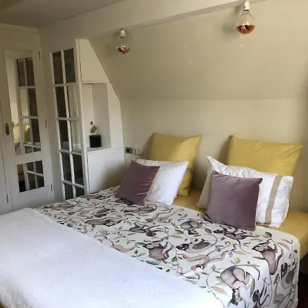 Far Out Collective Homestay szállás San Sebastián